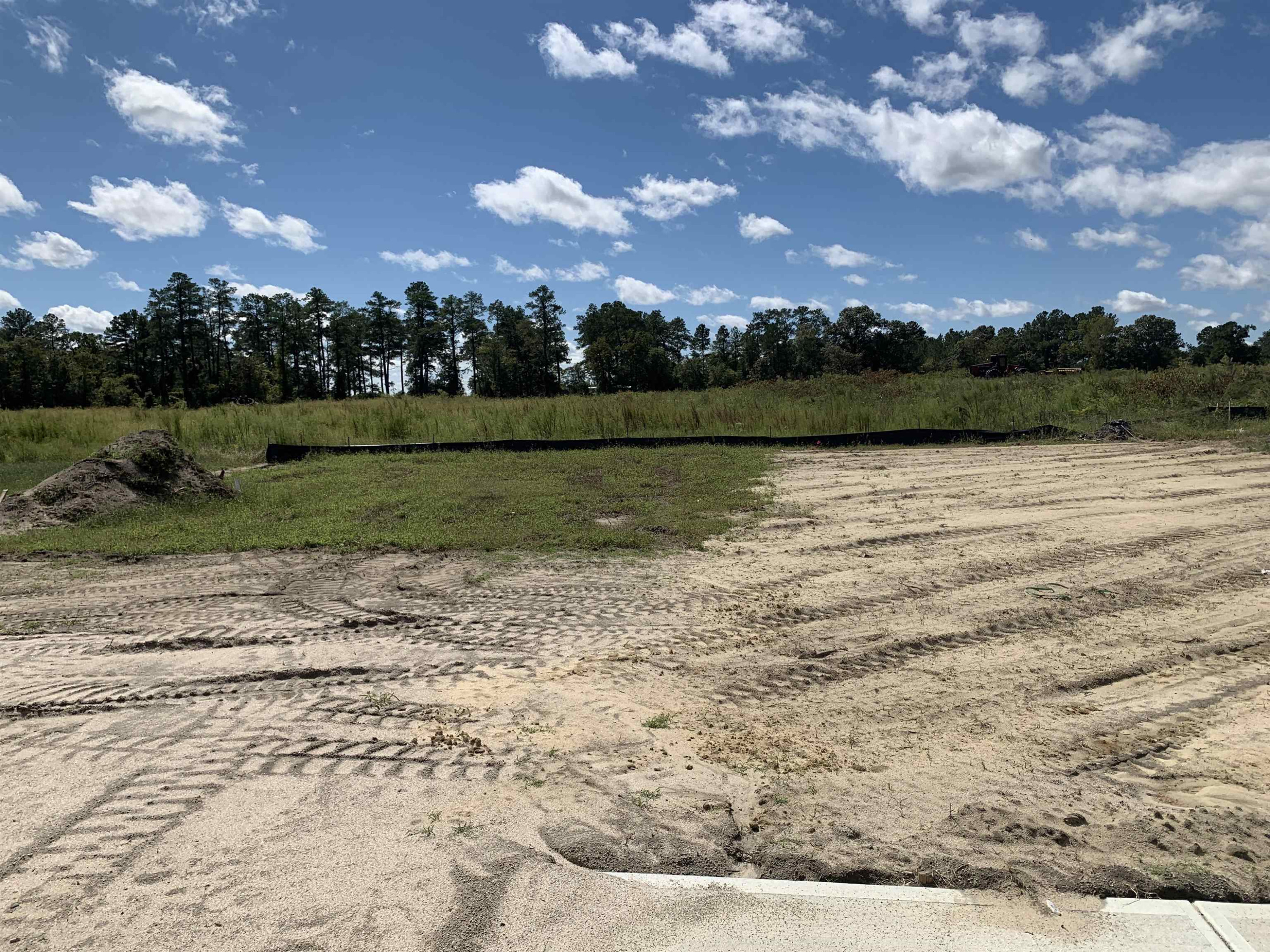 8566 Shallow Crk Trail Bailey, NC 27807 - Photo 20 of 20 a view of lake