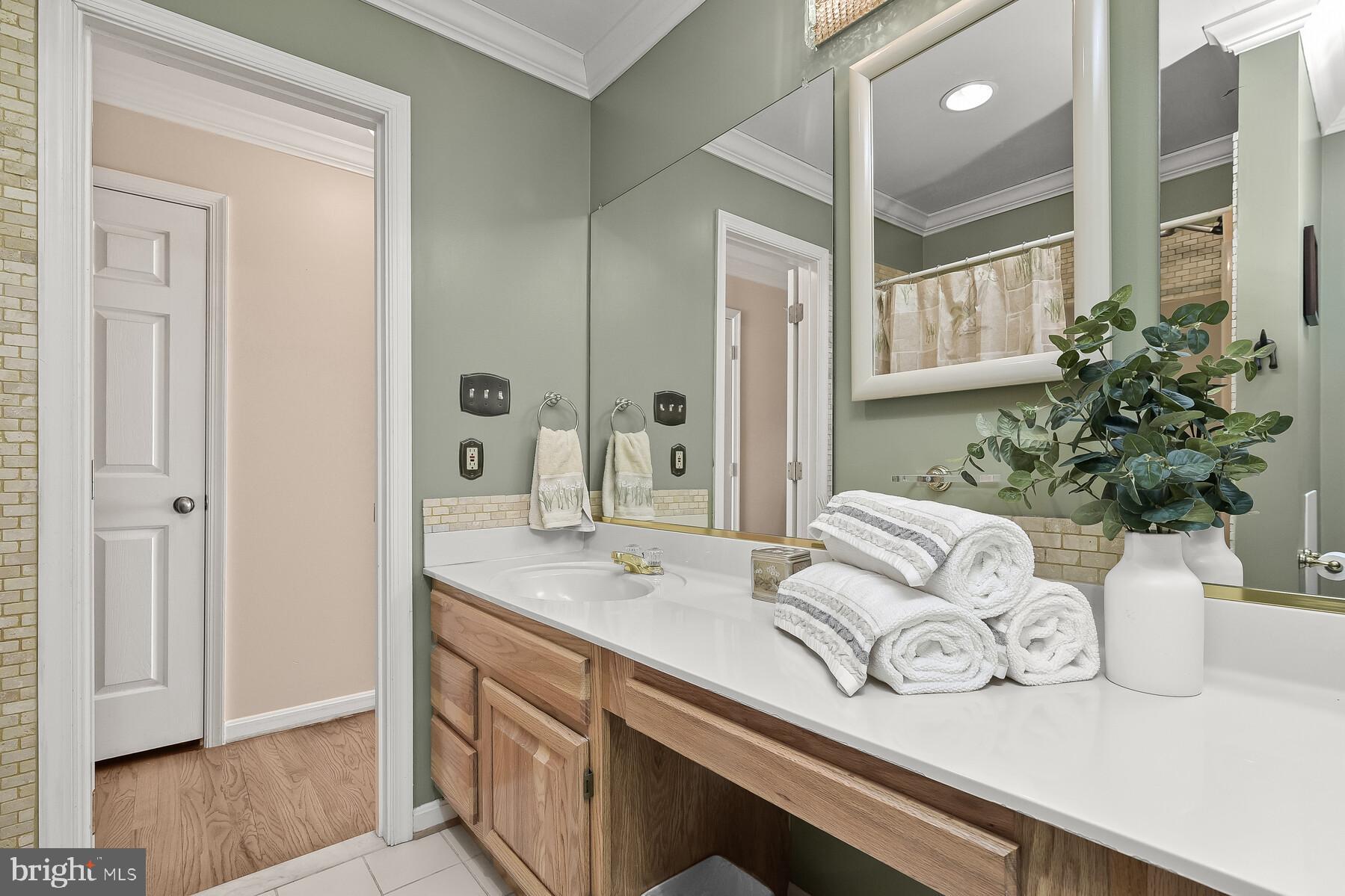 4530 Ten Oaks Road Dayton, MD 21036 - Photo 33 of 49 Hall bath with plenty of counter space