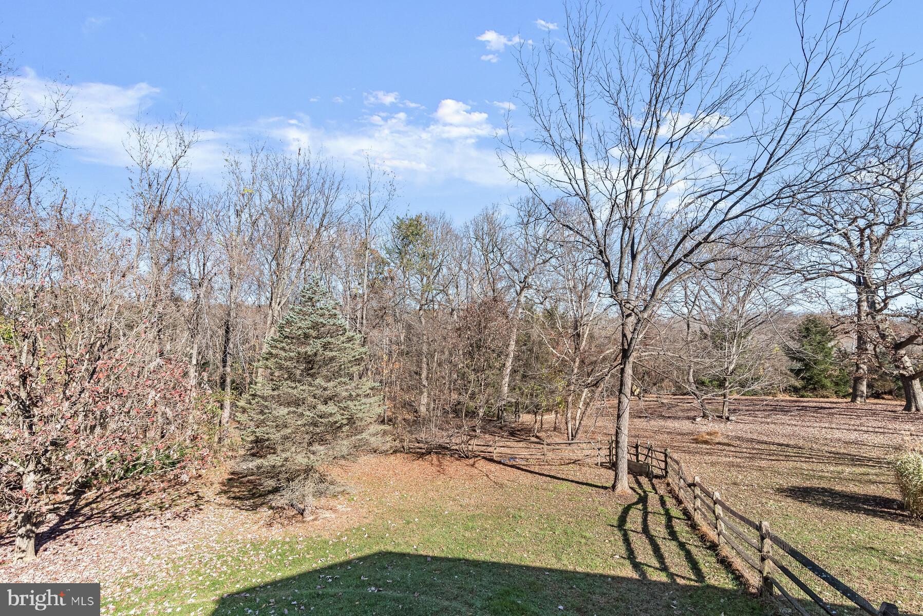 4530 Ten Oaks Road Dayton, MD 21036 - Photo 46 of 49 Rear yard views