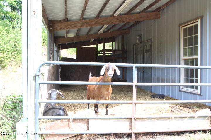 4645 Mink Run Road Frankfort, KY 40601 - Photo 32 of 38 IMG_7010