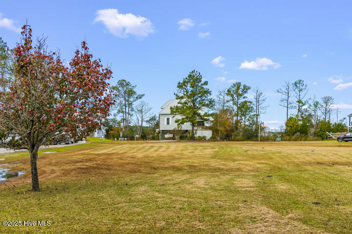 363 Cabin Creek Road Merritt, NC 28556 - Photo 101 of 131 View from Yard