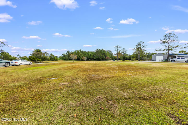 363 Cabin Creek Road Merritt, NC 28556 - Photo 111 of 131 Yard