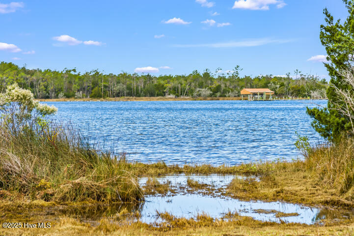 363 Cabin Creek Road Merritt, NC 28556 - Photo 3 of 131 Waterfront