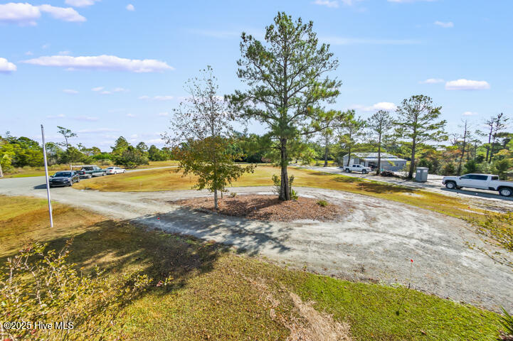 363 Cabin Creek Road Merritt, NC 28556 - Photo 96 of 131 Driveway