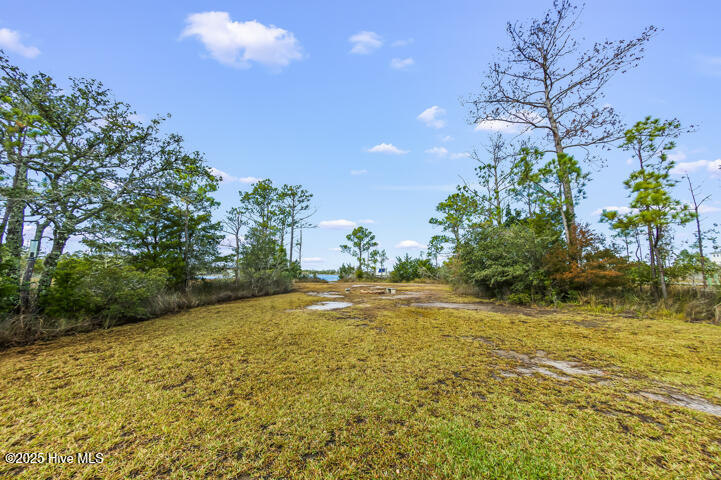363 Cabin Creek Road Merritt, NC 28556 - Photo 98 of 131 View Toward Water