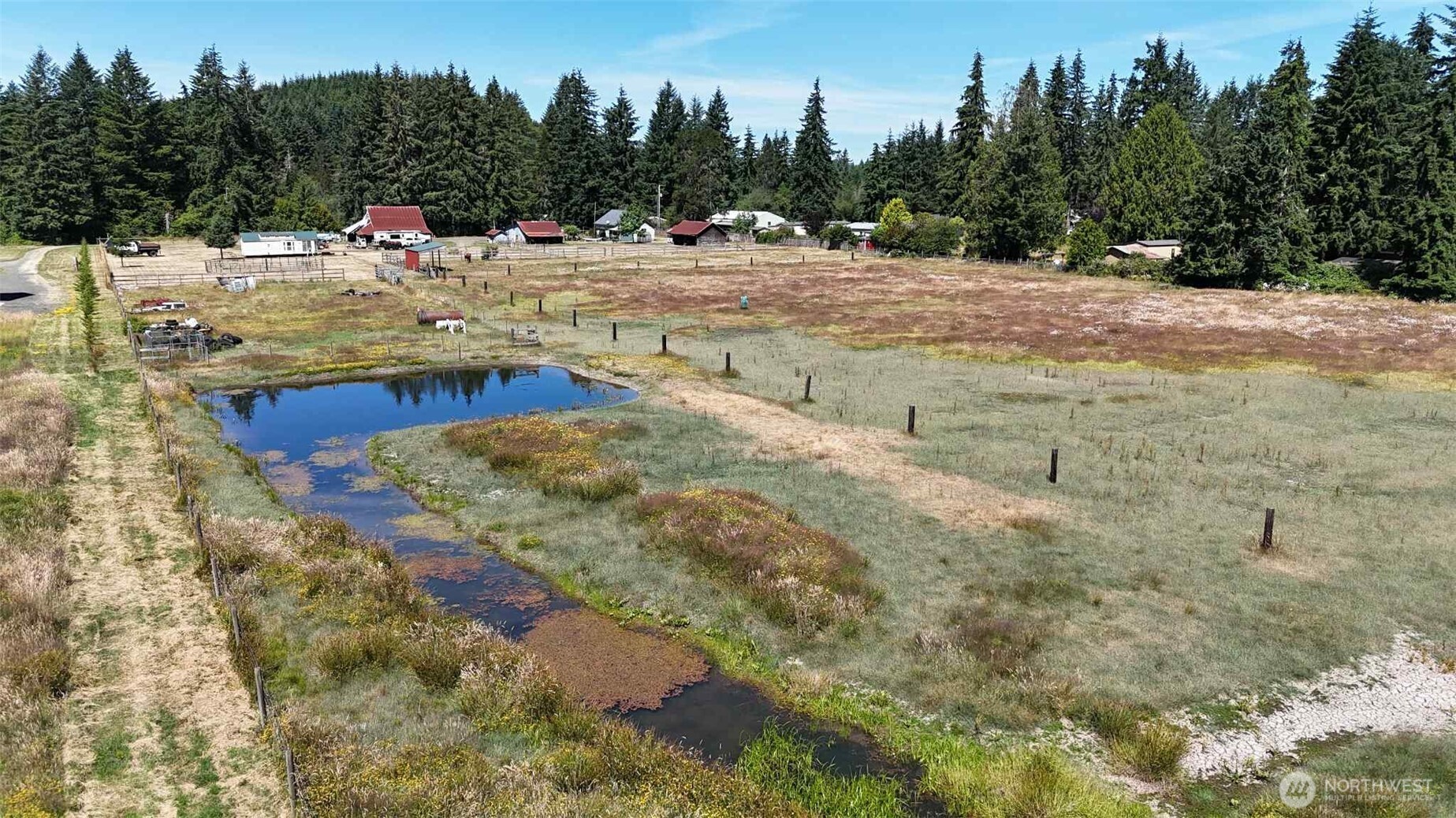 15 Heise Road South Elma, WA 98541 - Photo 34 of 40 a view of swimming pool with trees