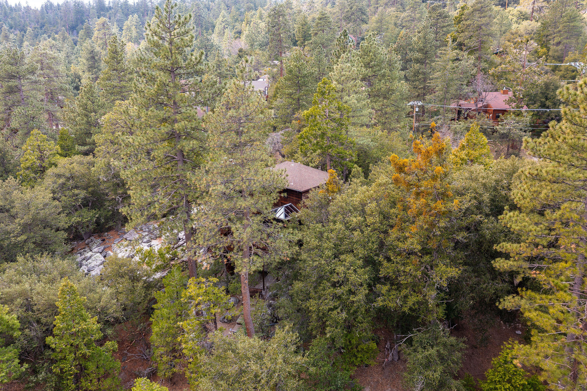 25504 Cedar Glen Drive Idyllwild, CA 92549 - Photo 58 of 60 25504CedarGlenDr.-66