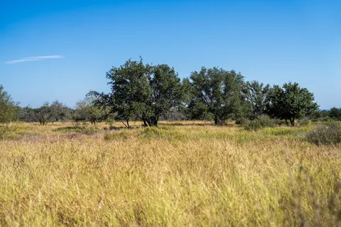 a view of backyard with green space