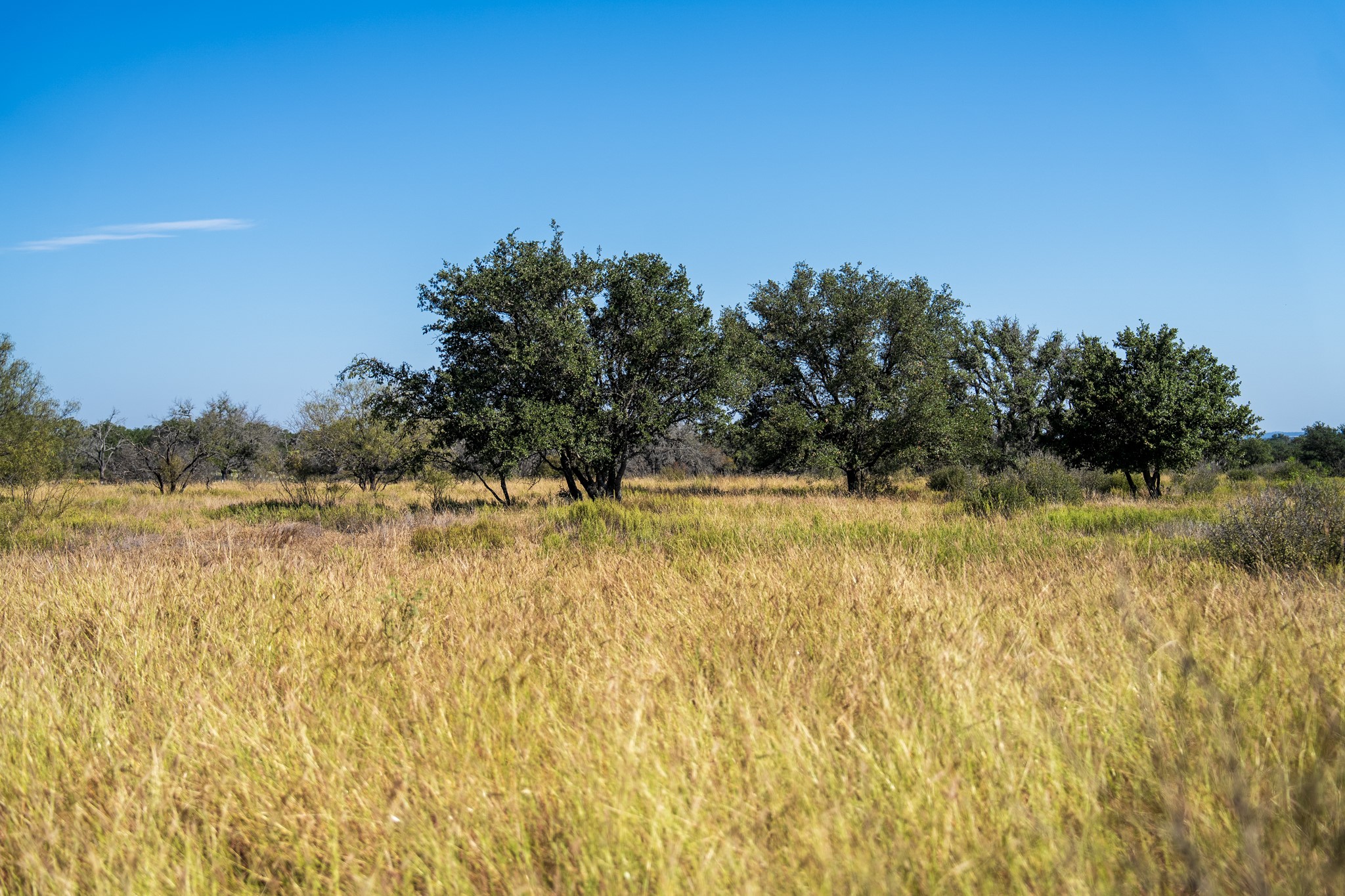 928 Bendele Road Johnson City, TX 78636 - Photo 24 of 31 a view of a lake view