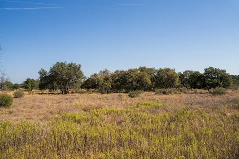 a view of backyard with green space