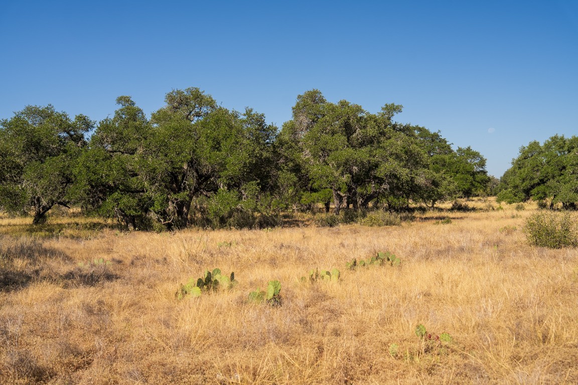 928 Bendele Road Johnson City, TX 78636 - Photo 29 of 31 a view of yard covered in snow