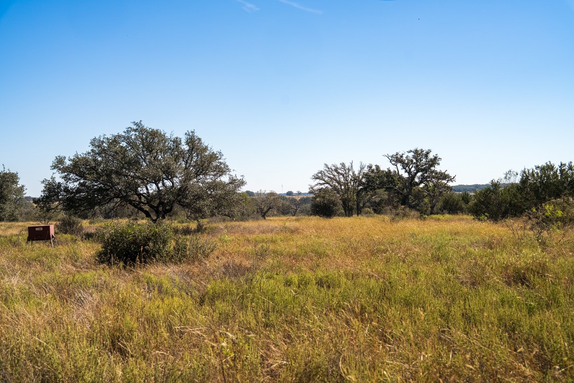 928 Bendele Road Johnson City, TX 78636 - Photo 30 of 31 a view of a yard