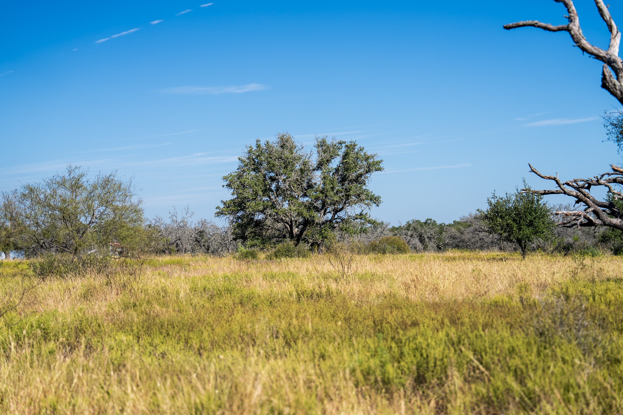 928 Bendele Road Johnson City, TX 78636 - Photo 5 of 31 a view of a lake