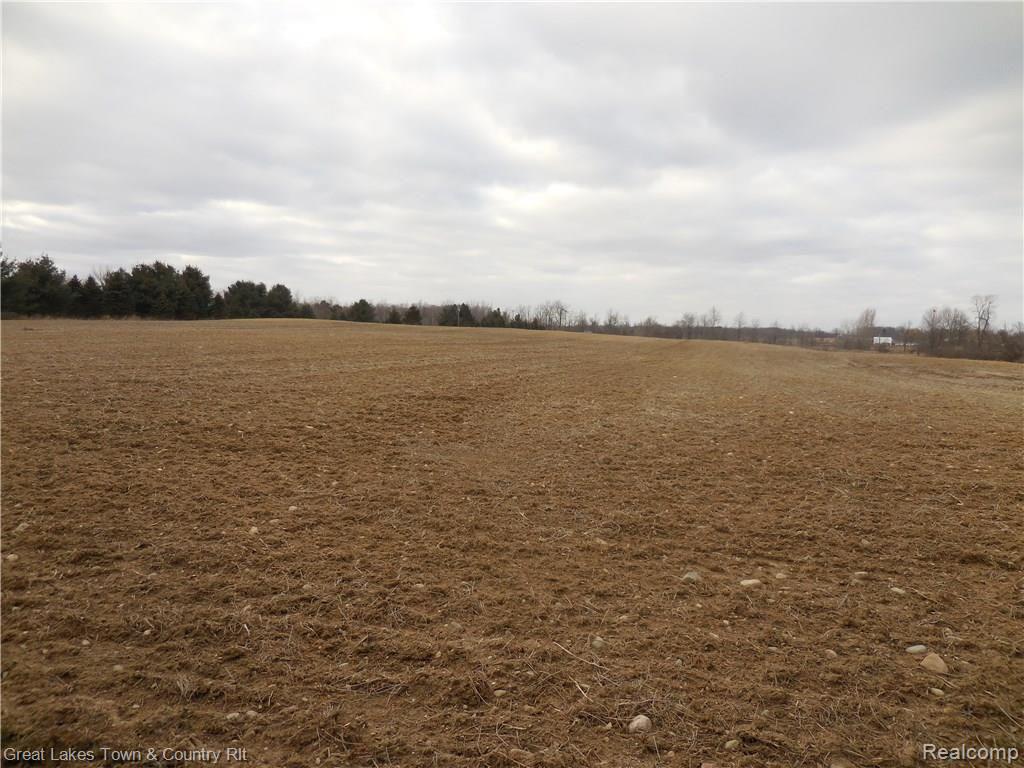 Par E Ewalt Road Imlay City, MI 48444 - Photo 9 of 13