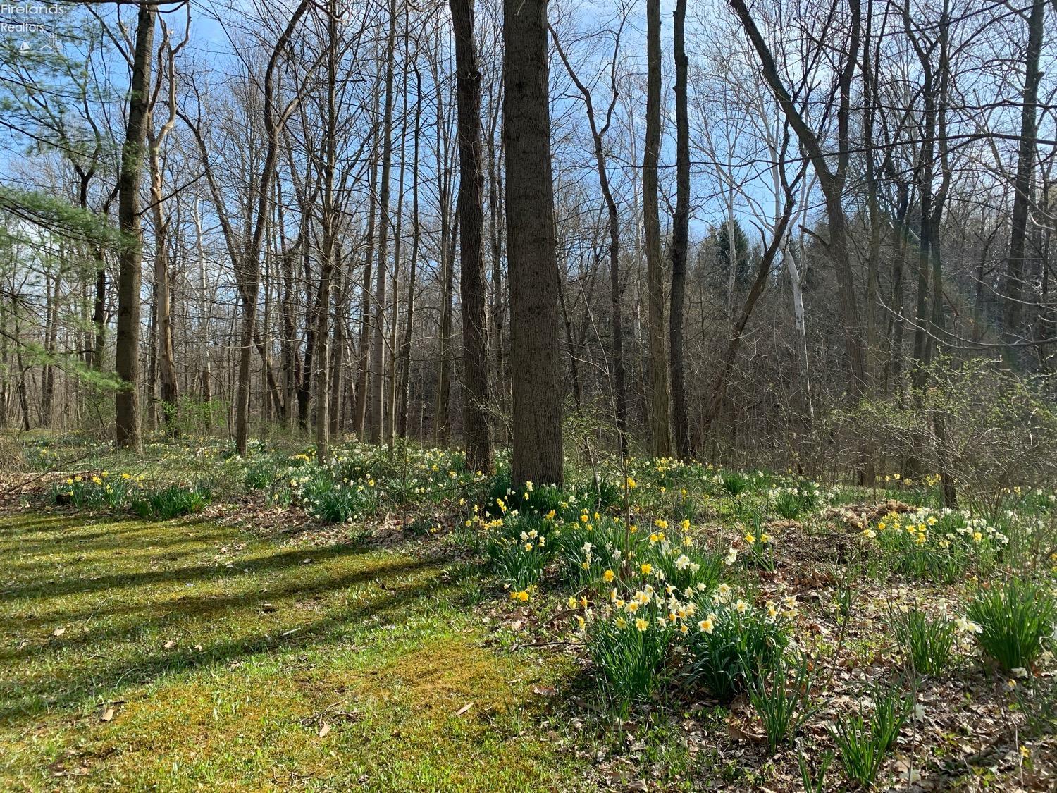 655 Ridge Road North Norwalk, OH 44857 - Photo 27 of 92 Gallery Image 27