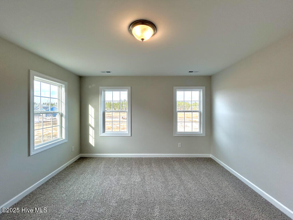 263 Browns Ferry Road Jacksonville, NC 28546 - Photo 55 of 62 IMG-4467-jpg