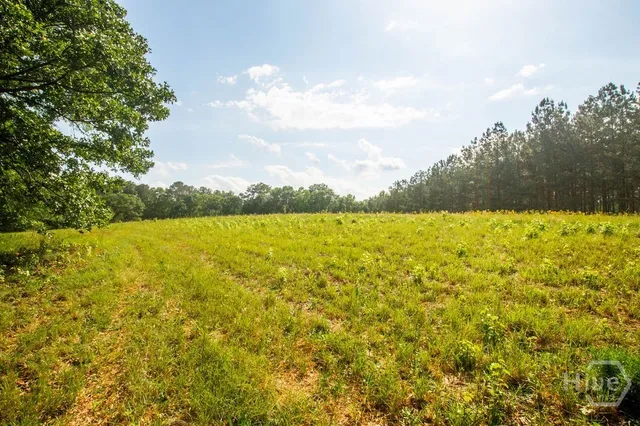 $950,000 | 1145 Thurston Snow Road, Good Hope, GA 30641