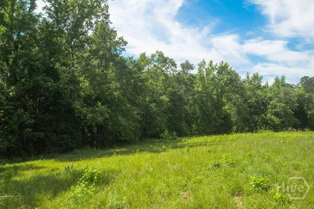 $950,000 | 1145 Thurston Snow Road, Good Hope, GA 30641