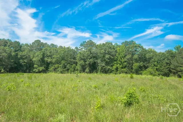 $950,000 | 1145 Thurston Snow Road, Good Hope, GA 30641