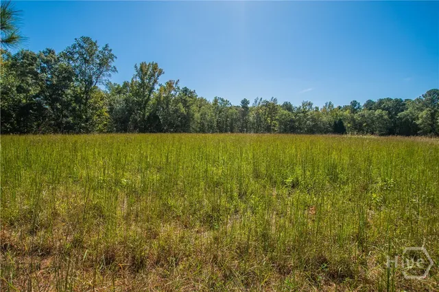 $950,000 | 1145 Thurston Snow Road, Good Hope, GA 30641