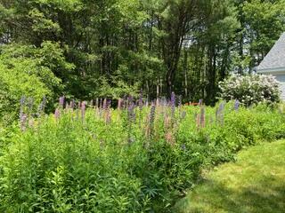 72 Woodside Road Brunswick, ME 04011 - Photo 49 of 55 IMG_0783