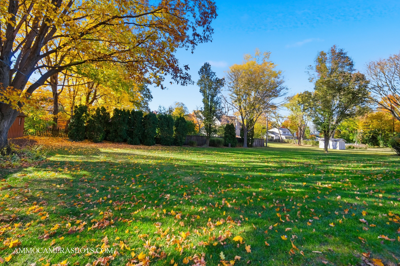 817 Woodland Hills Road Batavia, IL 60510 - Photo 32 of 38 a view of garden with trees