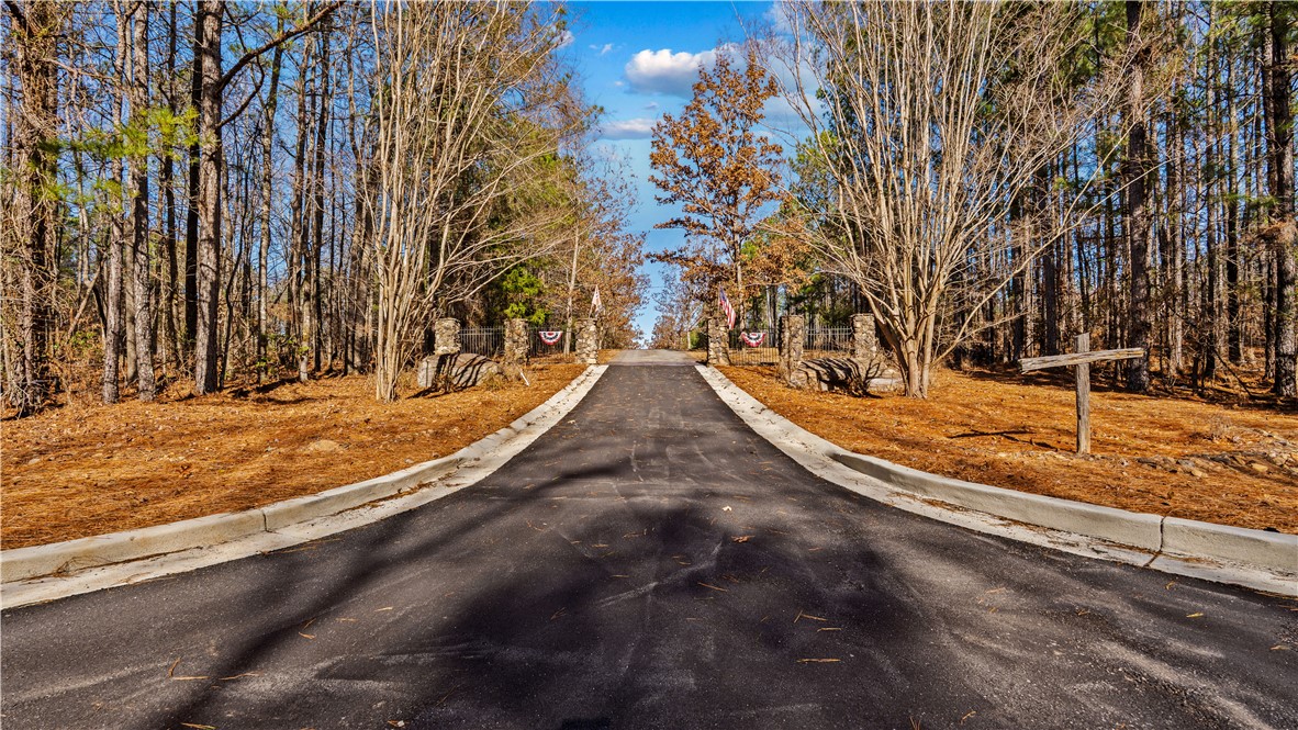 1-877 Mckee Road Waverly Hall, GA 31831 - Photo 11 of 61