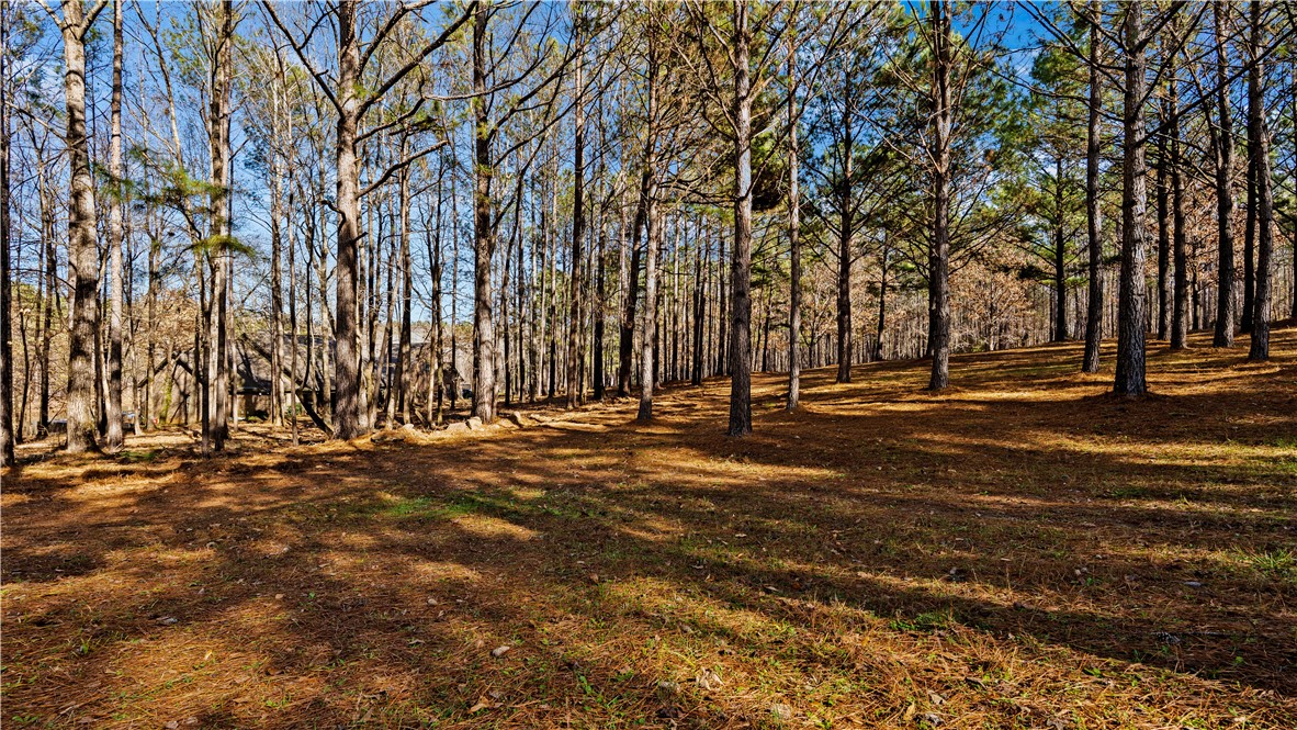 1-877 Mckee Road Waverly Hall, GA 31831 - Photo 15 of 61