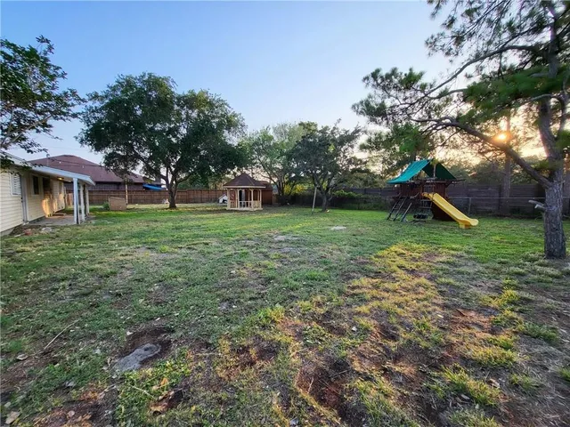 a view of a tree in a backyard of a house