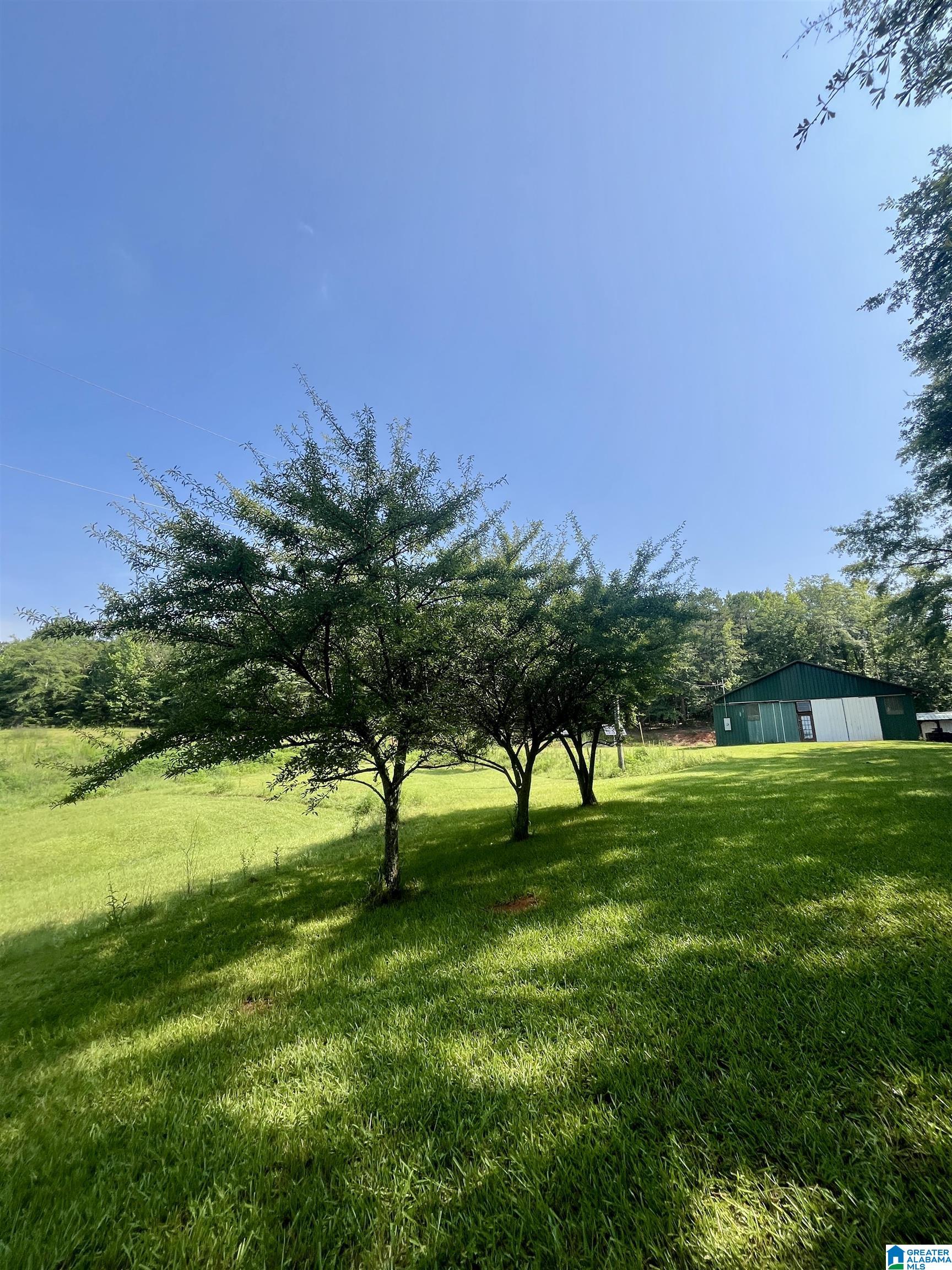 780 Lost Creek Road Delta, AL 36258 - Photo 22 of 50 Gallery Image 22