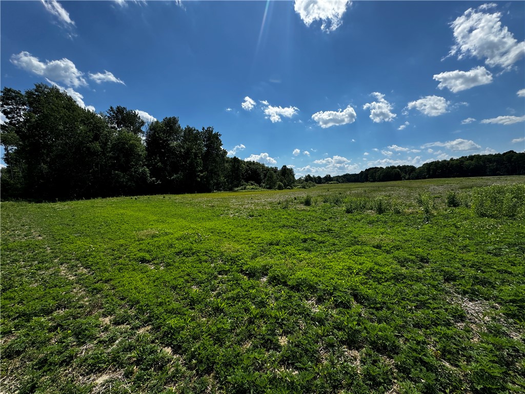 0 Salt Road Locke, NY 13092 - Photo 1 of 1