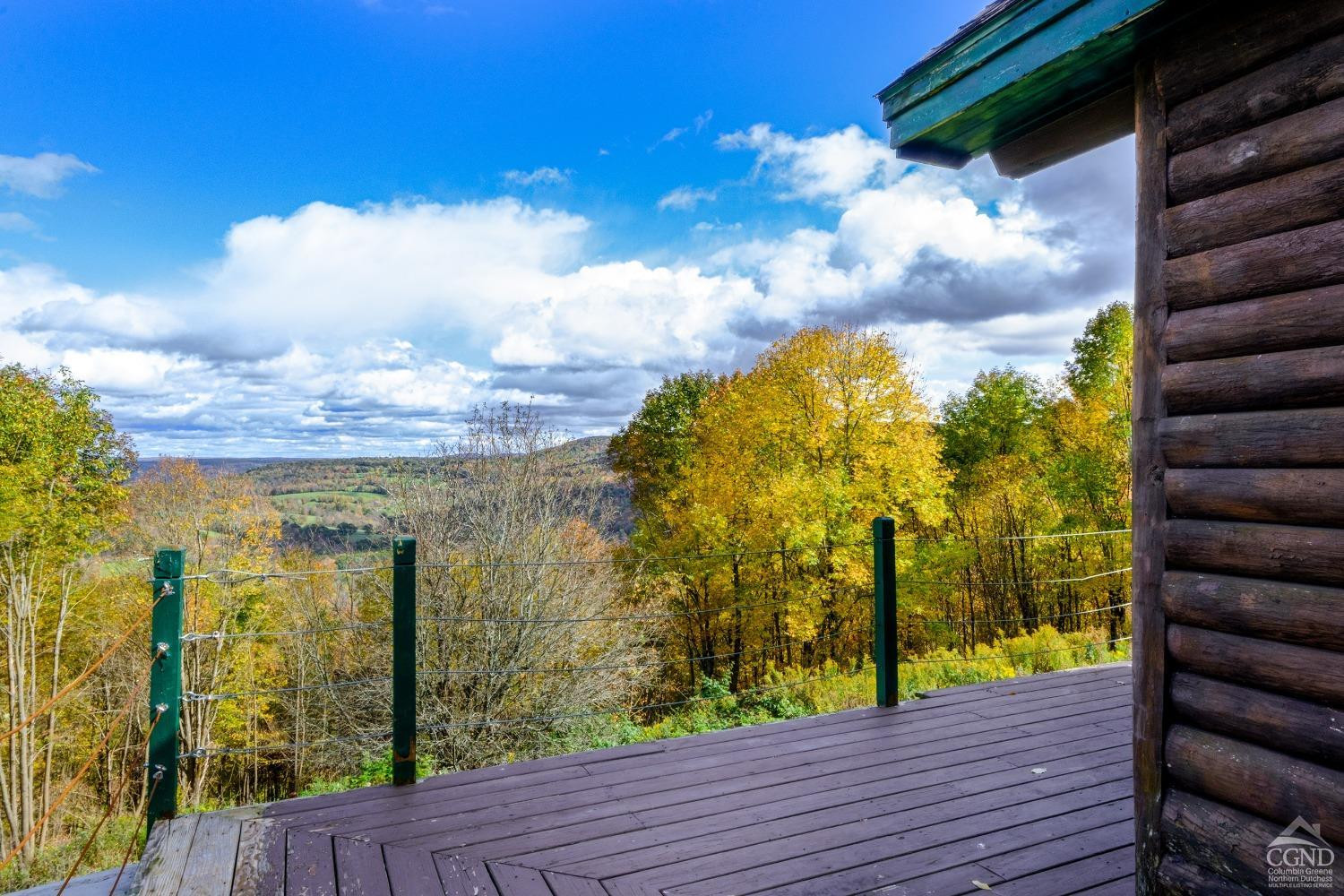 1905 Monkey Run Road Oneonta, NY 13820 - Photo 54 of 62 Photo 54