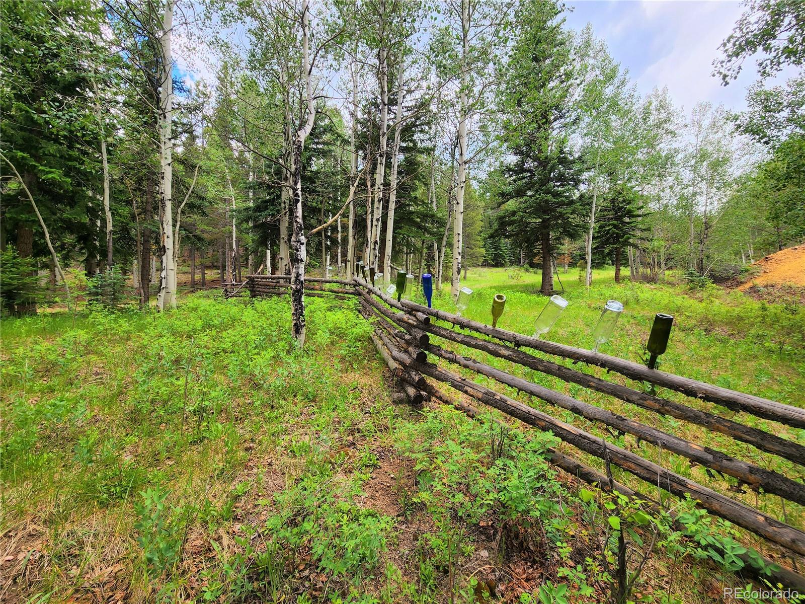 1758 South Spring Gulch Road Idaho Springs, CO 80452 - Photo 15 of 39 Gallery Image 15
