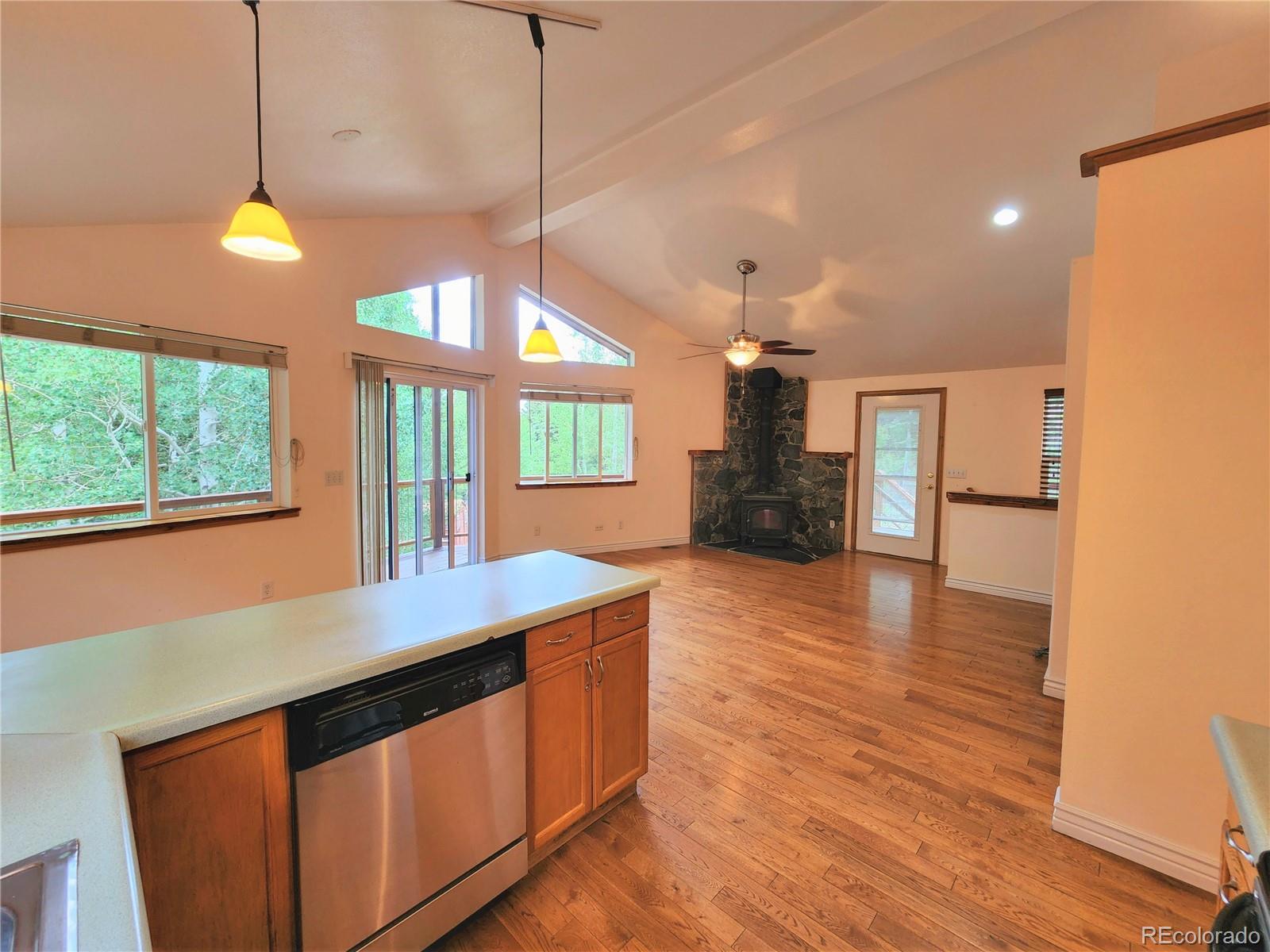 1758 South Spring Gulch Road Idaho Springs, CO 80452 - Photo 23 of 39 Gallery Image 23