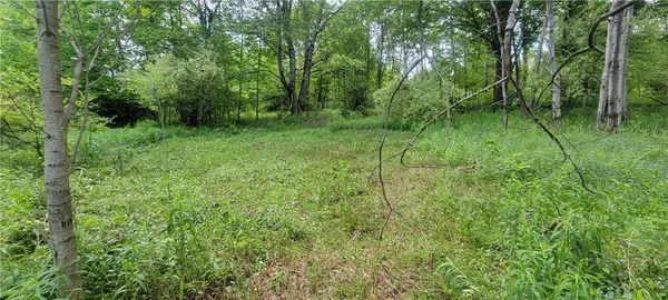 $25,900 | Mary Lynne Lane, Bainbridge, NY 13733