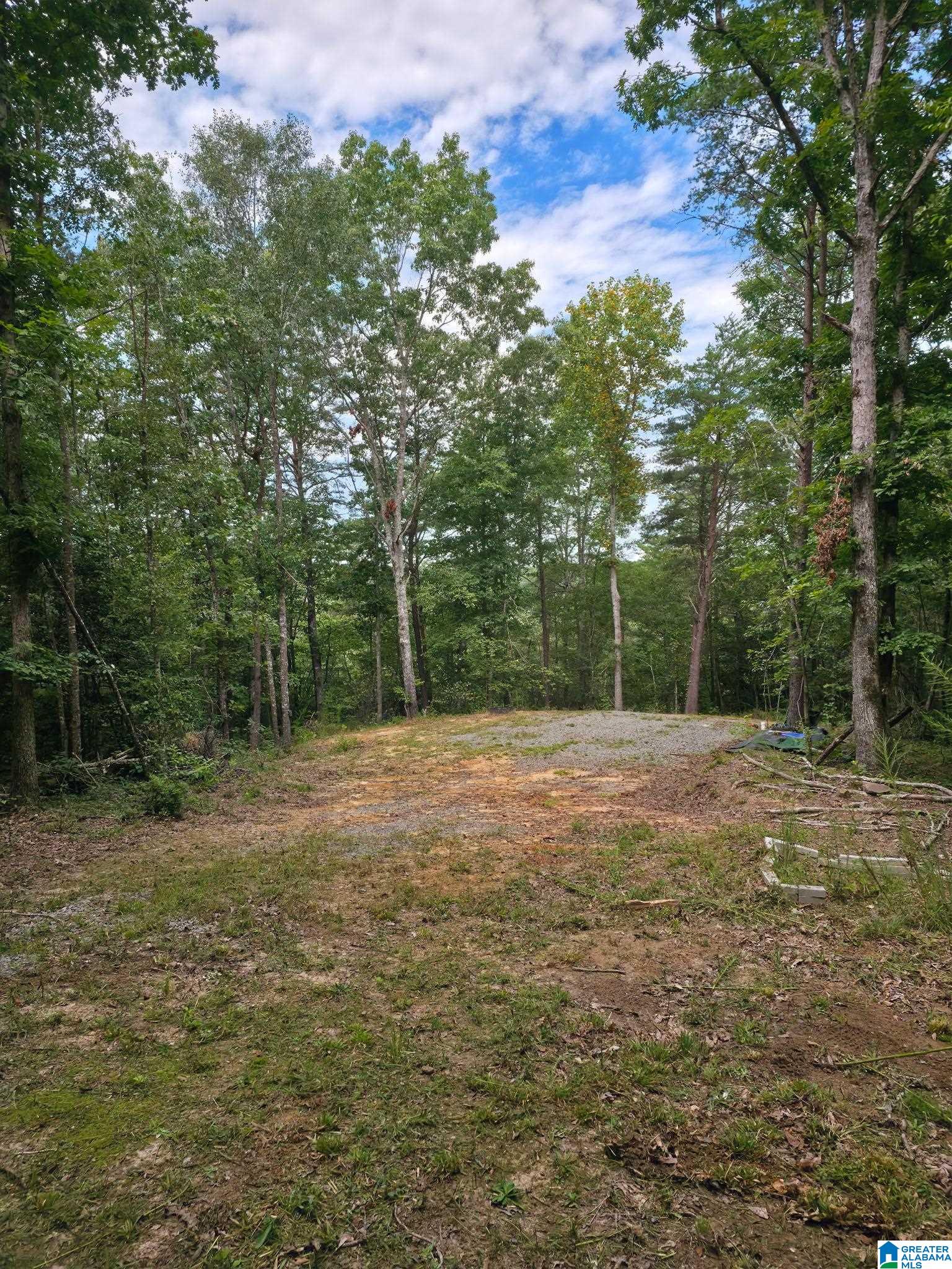2 County Road 2, Unit 50 / ACRES Double Springs, AL 35553 - Photo 42 of 79