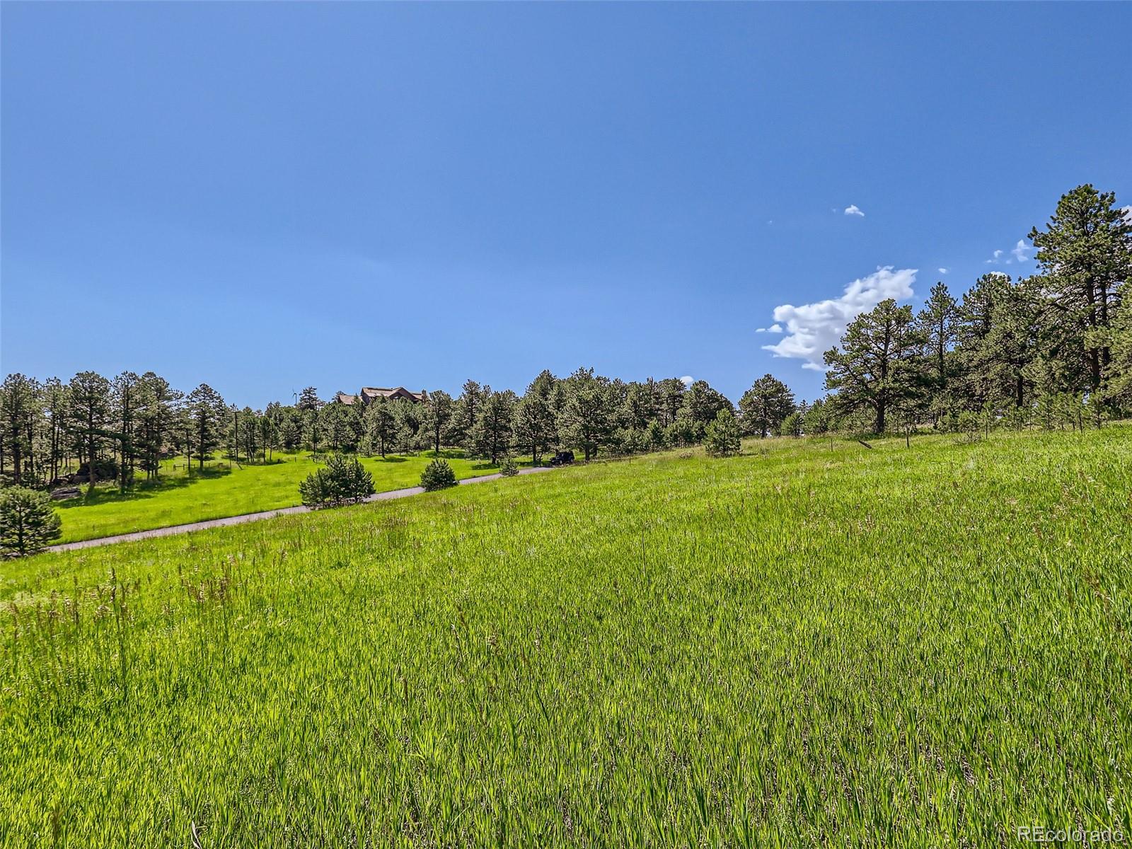 2117 Wieler Road Evergreen, CO 80439 - Photo 31 of 40 Gallery Image 31