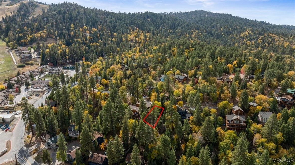 1279 Pigeon Road Big Bear Lake, CA 92315 - Photo 3 of 12 a view of a forest with a tree