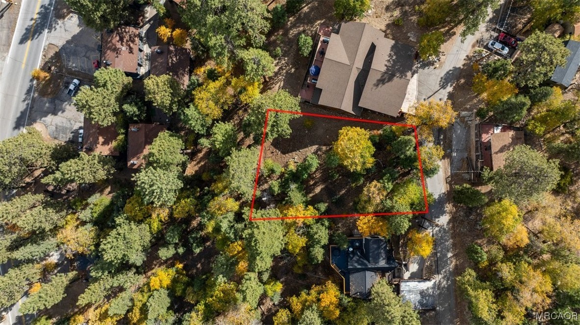 1279 Pigeon Road Big Bear Lake, CA 92315 - Photo 5 of 12 a picture of tree