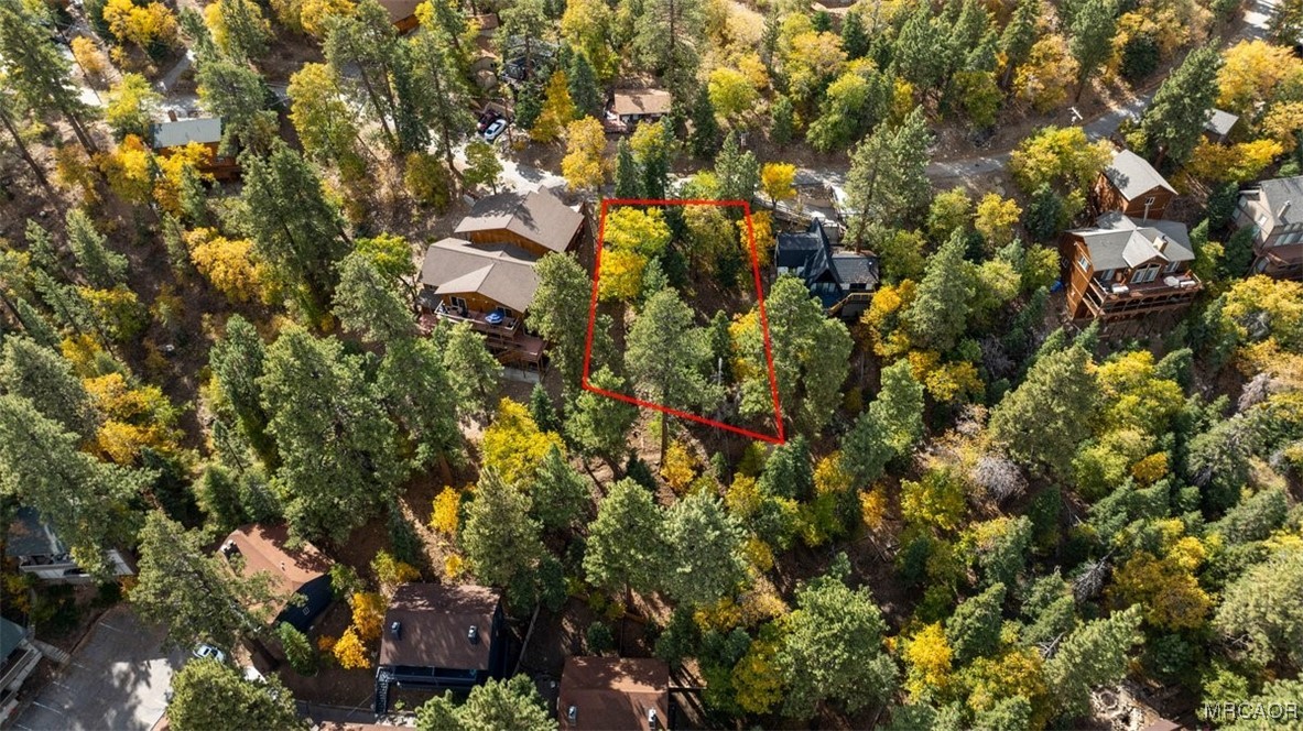 1279 Pigeon Road Big Bear Lake, CA 92315 - Photo 7 of 12 a view of a tree