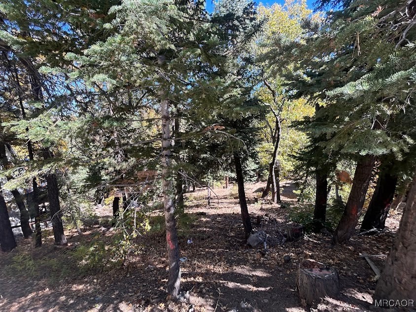1279 Pigeon Road Big Bear Lake, CA 92315 - Photo 9 of 12 a view of a forest with trees in the background