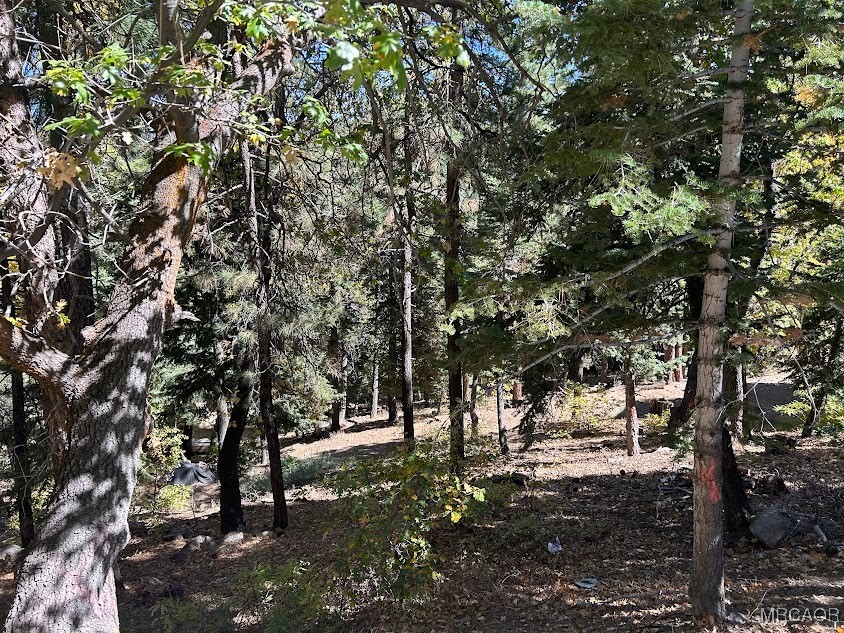 1279 Pigeon Road Big Bear Lake, CA 92315 - Photo 10 of 12 a view of outdoor space with trees