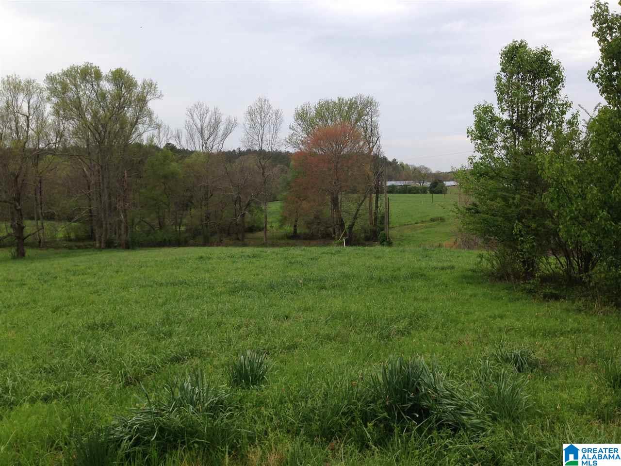 3553 Boat Landing Road Oneonta, AL 35121 - Photo 21 of 27