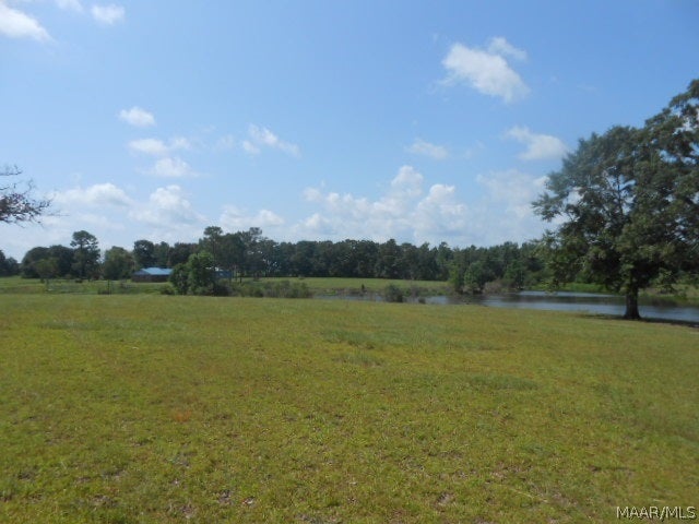 437 Grady Morgan Road Samson, AL 36477 - Photo 32 of 35 Gallery Image 32