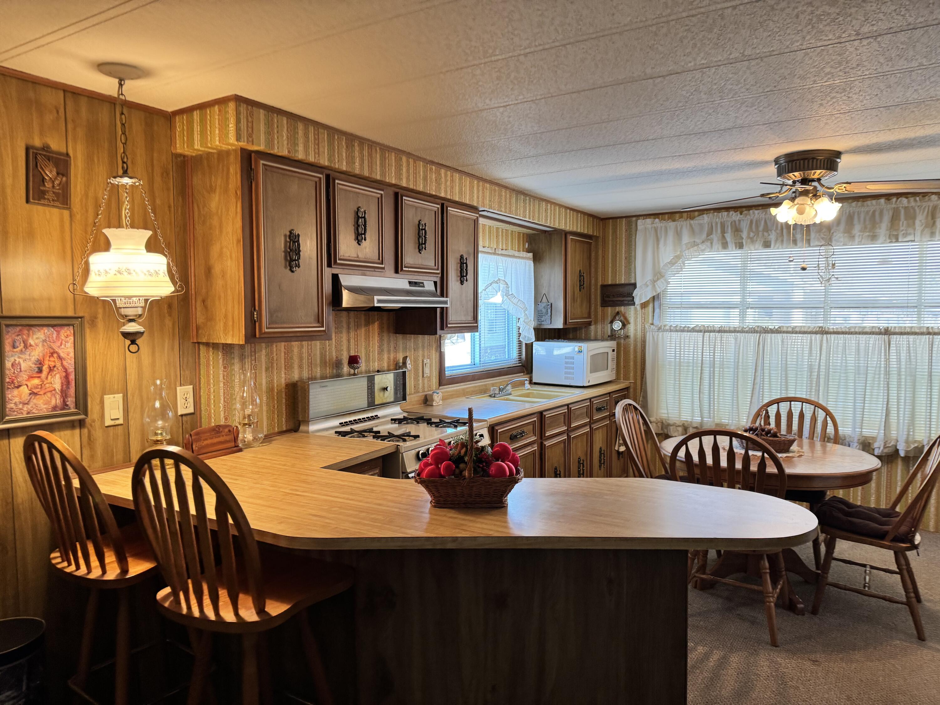 71 Oneida Adrian, MI 49221 - Photo 6 of 18 6