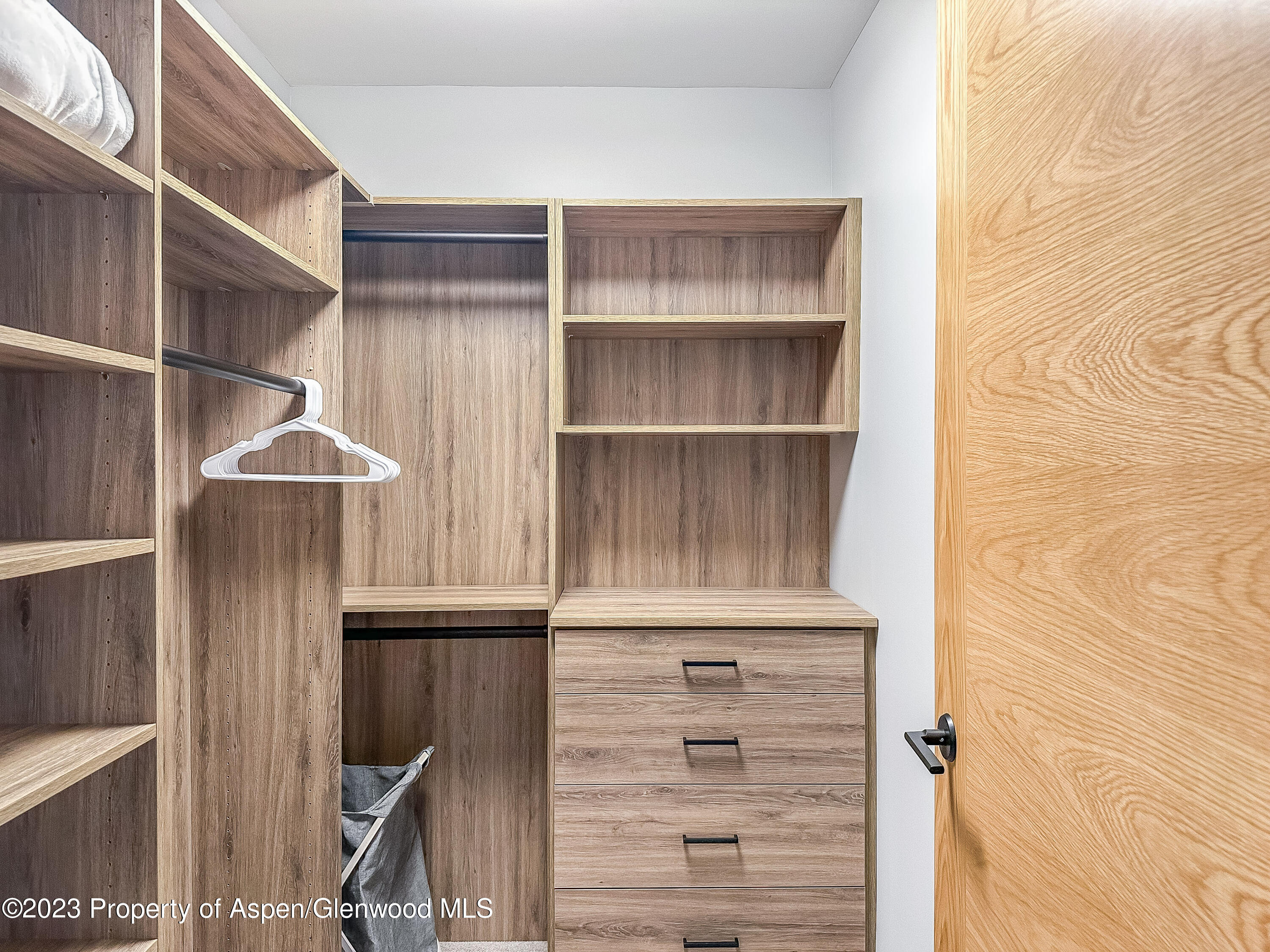 77 Wood Road, Unit 607E Snowmass Village, CO 81615 - Photo 18 of 29 a close view of closet