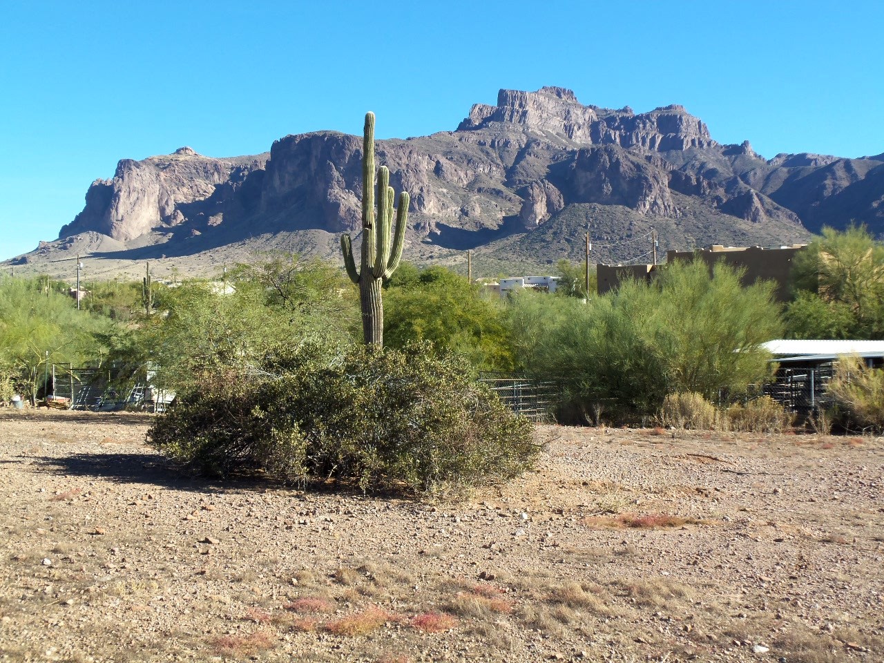 319 South Muleshoe Road, Unit 16D Apache Junction, AZ 85119 - Photo 2 of 5 Mtn View