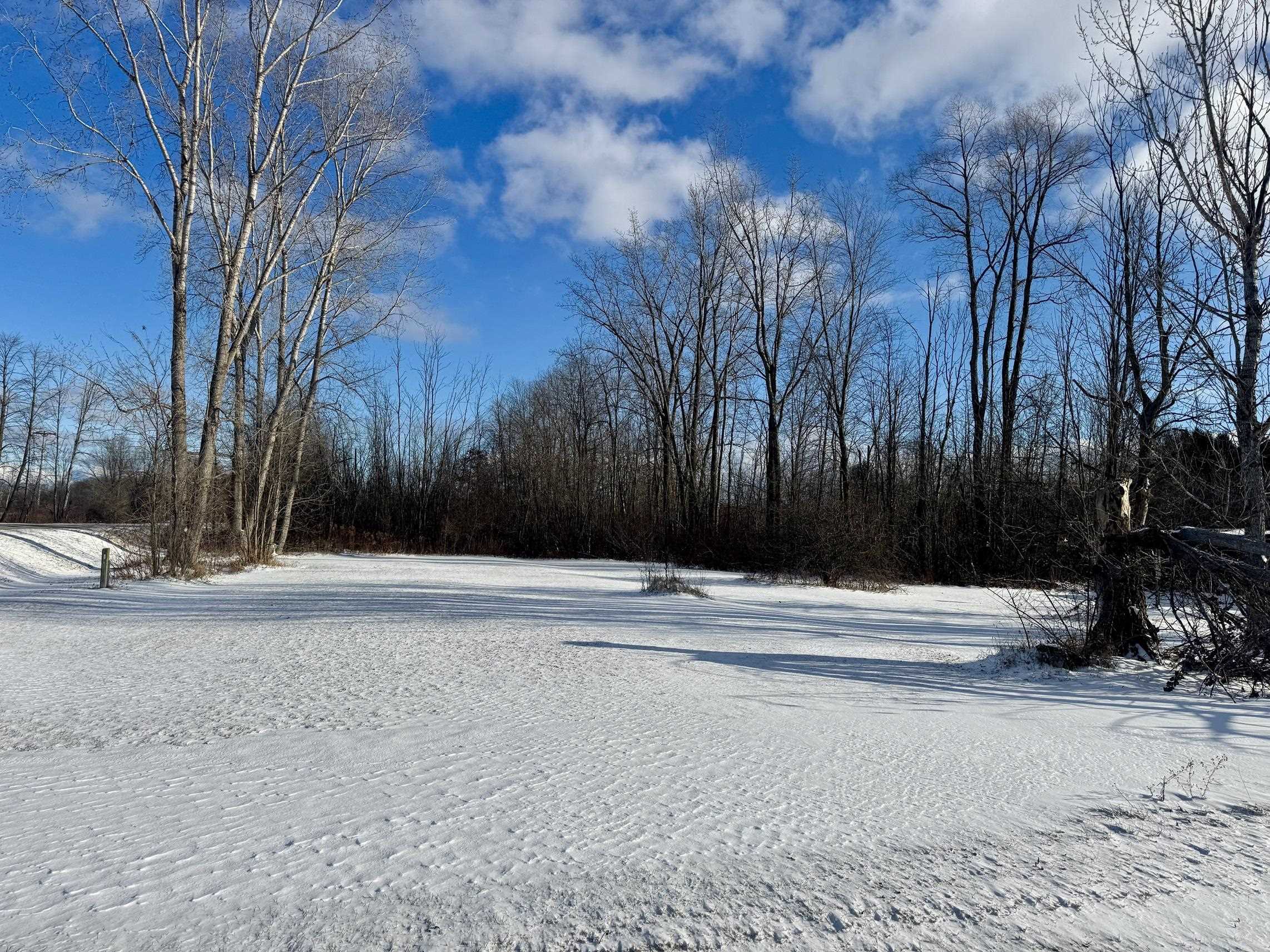 1701 Conrad Road Omer, MI 48749 - Photo 9 of 11 Gallery Image 9