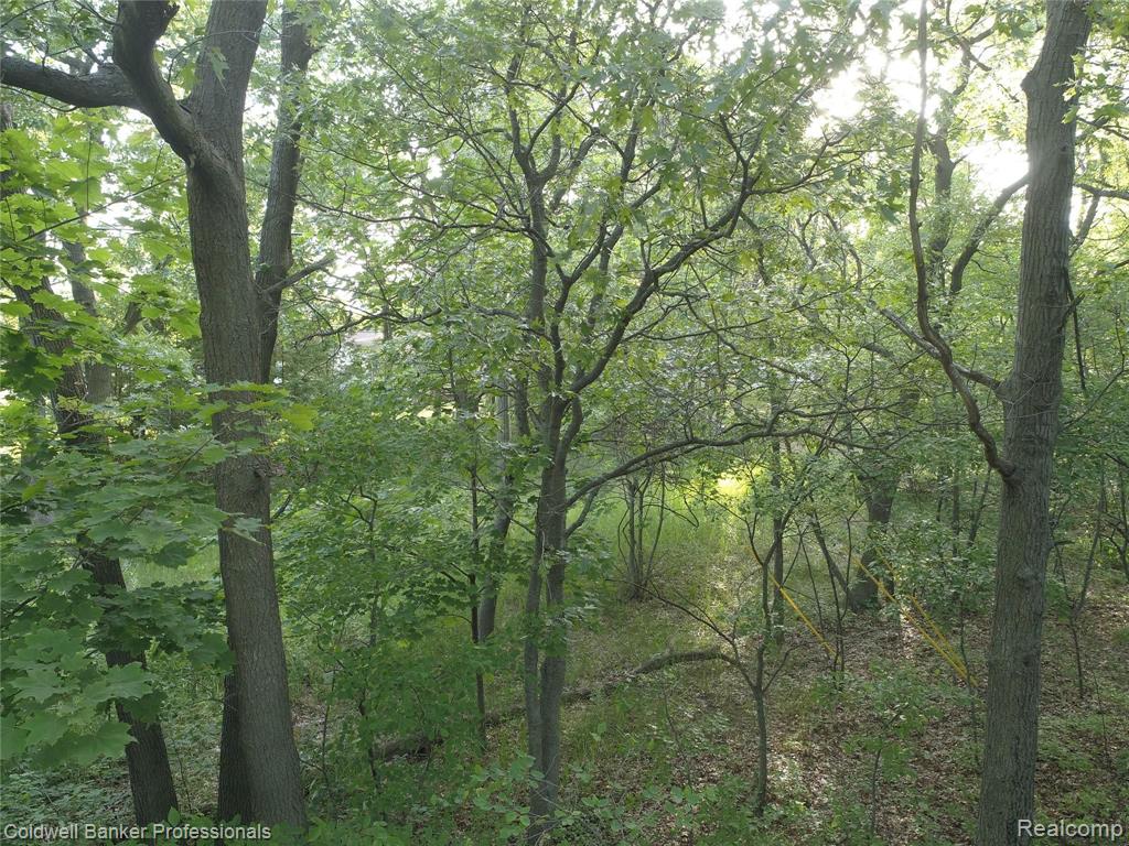 4561 Port Austin Road Caseville, MI 48725 - Photo 10 of 26