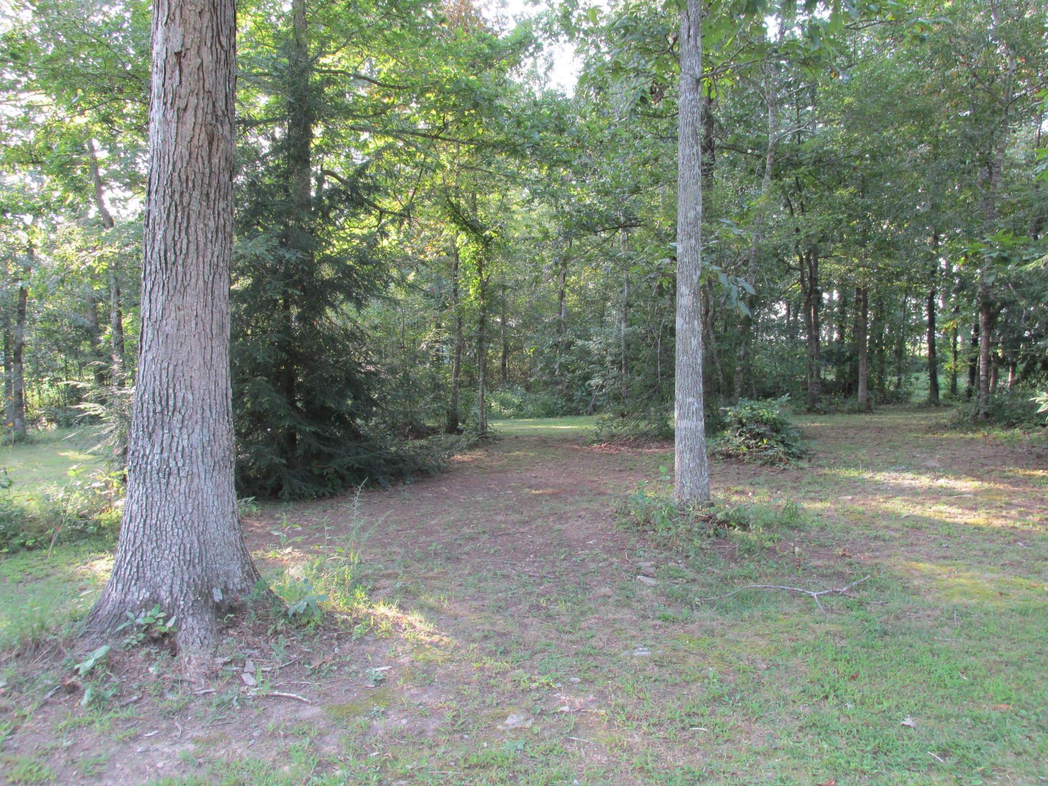 1099 Pine Ridge Lane Clarkrange, TN 38553 - Photo 4 of 20 Gallery Image 4